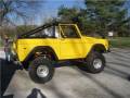 Assembled cage in Bronco