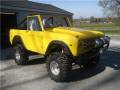 Assembled cage in Bronco