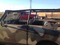Extreme Custom Fabrication -  I.H. International Scout 2 Family Cage FREE SHIPPING